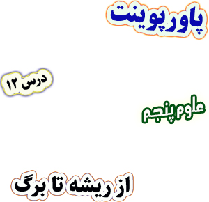 پاورپوینت علوم تجربی پنجم درس 12 از ریشه تا برگ